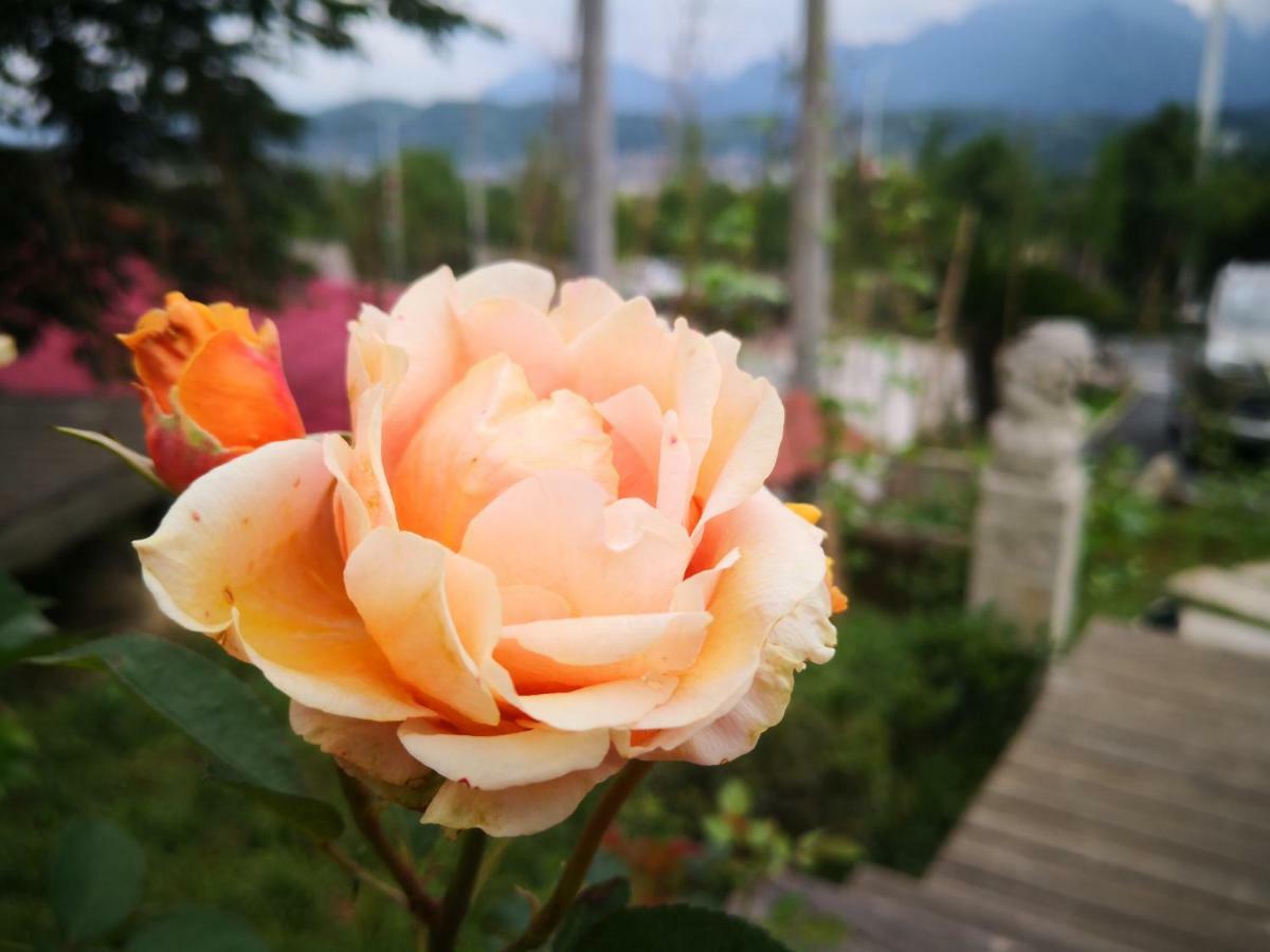 Dao Bian Inn Zhangjiajie Luaran gambar